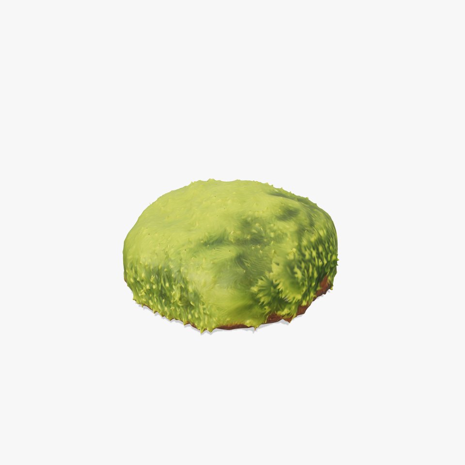 Green Moss Cushion model pack